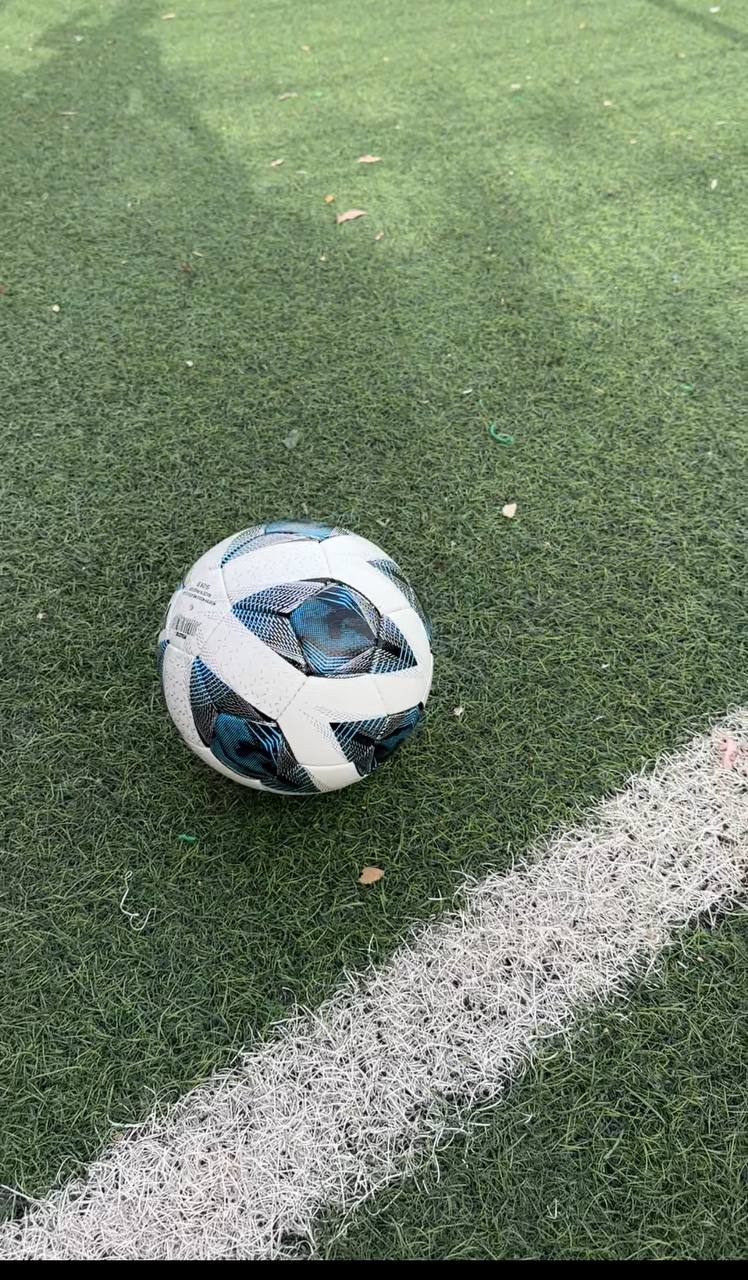 VEGA STAR BUNDESLIGA COULEUR BLUE كرة القدم ألمانية بوندسليغا نوعية عالمية توصيل متوفر 58 ولاية