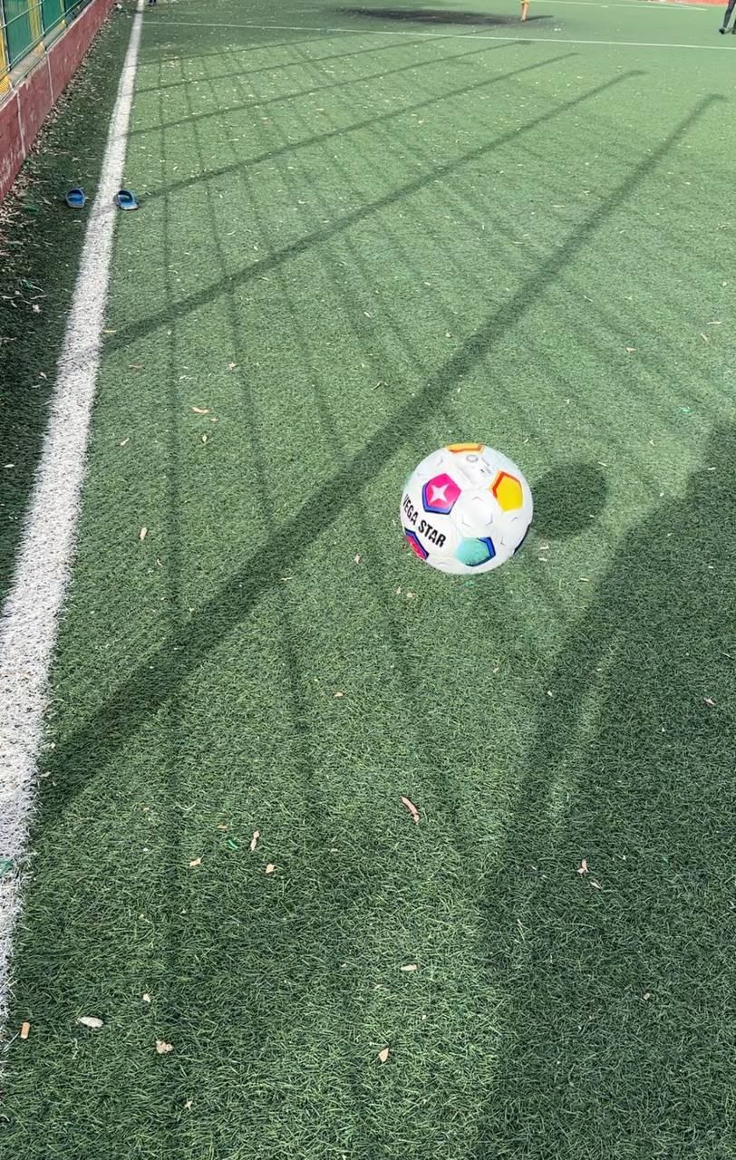 VEGA STAR BUNDESLIGA COULEUR 2 كرة القدم ألمانية بوندسليغا نوعية عالمية توصيل متوفر 58 ولاية